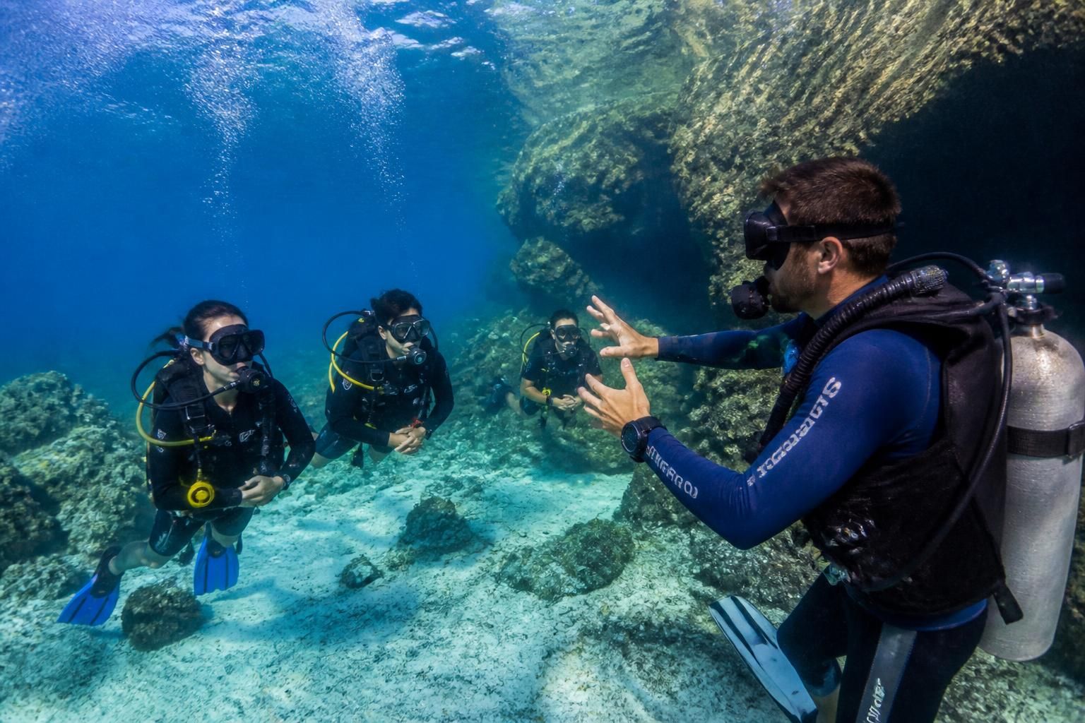 découvrez comment choisir entre une agence spécialisée en plongée et une agence généraliste pour organiser vos aventures sous-marines. conseils pratiques et avantages de chaque option.