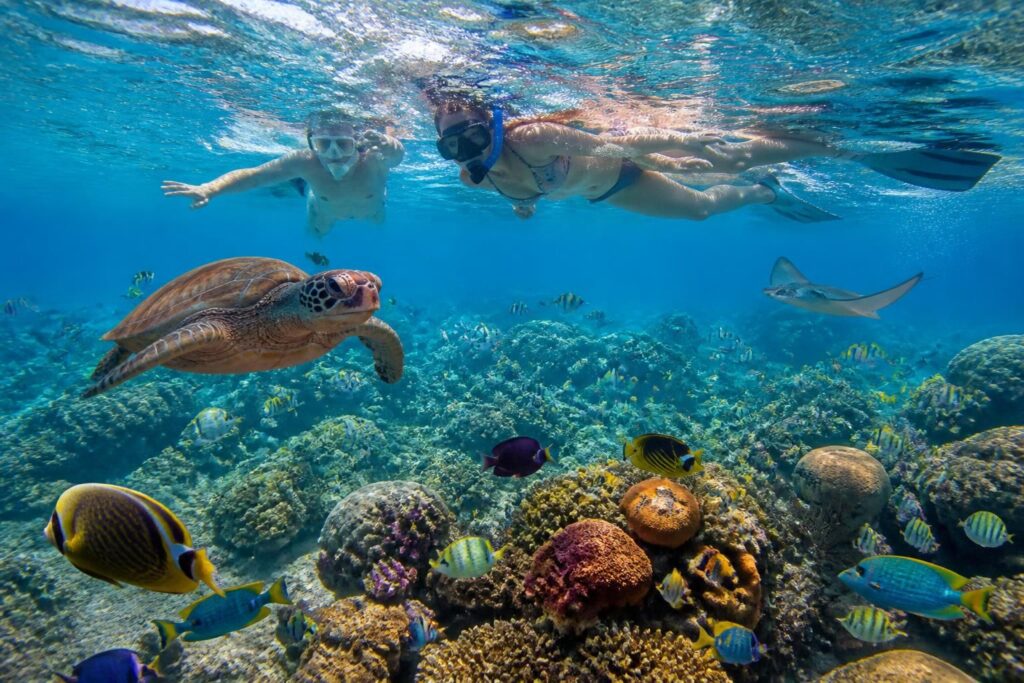 découvrez où pratiquer le snorkeling entre cozumel et akumal pour observer la plus riche vie marine, avec nos conseils pour une expérience inoubliable sous l'eau.