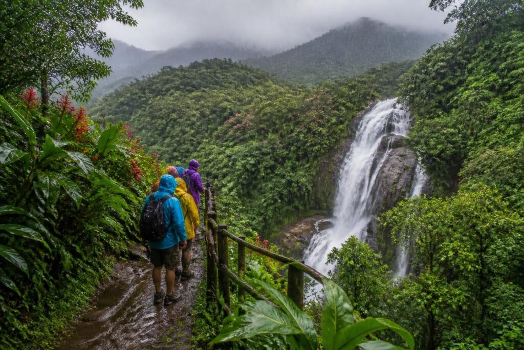 découvrez les meilleures excursions à faire au mexique pendant la saison des pluies pour profiter pleinement des paysages, de la nature luxuriante et des activités authentiques.