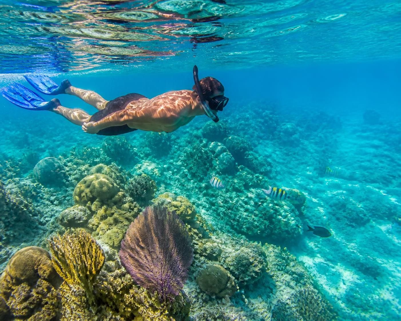découvrez notre comparatif des meilleures excursions à la journée depuis playa del carmen pour profiter pleinement de votre séjour avec des activités incontournables et des paysages magnifiques.