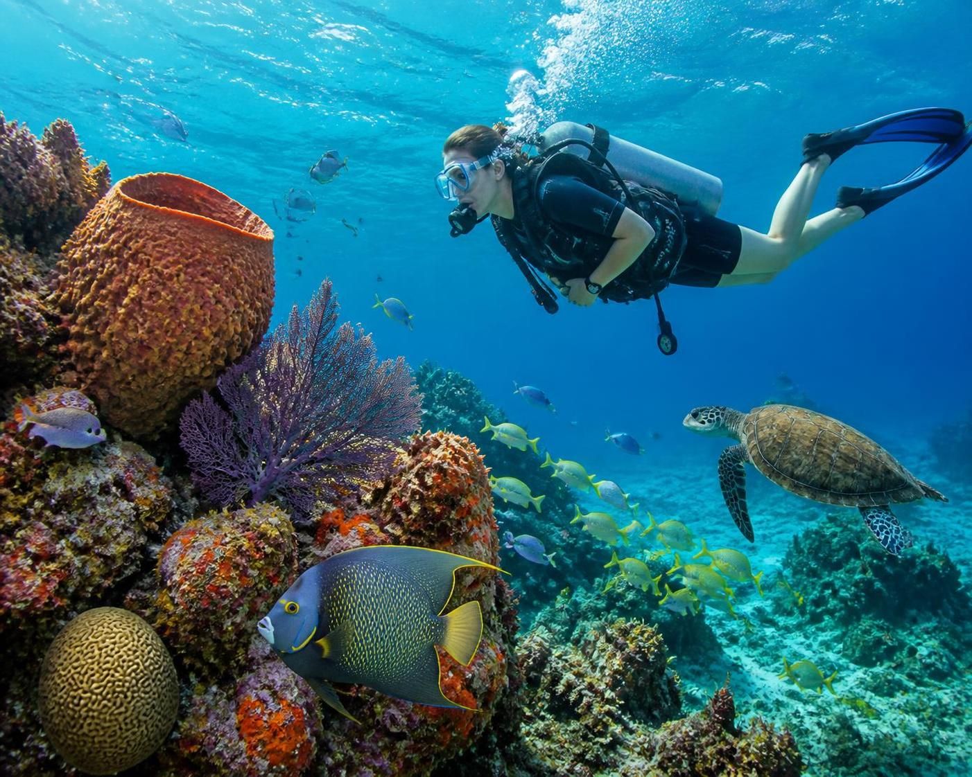 découvrez les meilleures excursions incontournables accessibles depuis cozumel, spécialement sélectionnées pour les croisiéristes francophones. profitez d'activités uniques et de paysages magnifiques lors de votre escale.