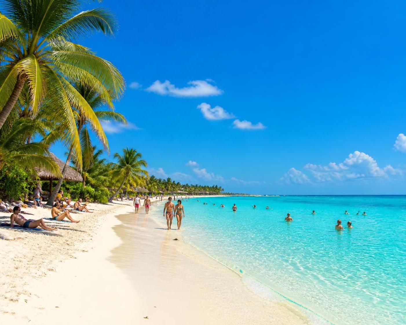 découvrez quelles excursions éviter pendant la saison des sargasses et apprenez comment protéger votre séjour pour des vacances agréables et sans mauvaises surprises.