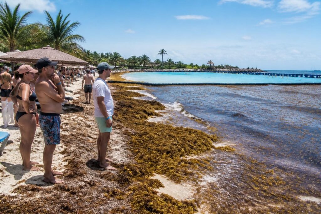 découvrez quelles excursions éviter pendant la saison des sargasses et apprenez comment protéger votre séjour pour profiter pleinement de vos vacances en toute sérénité.